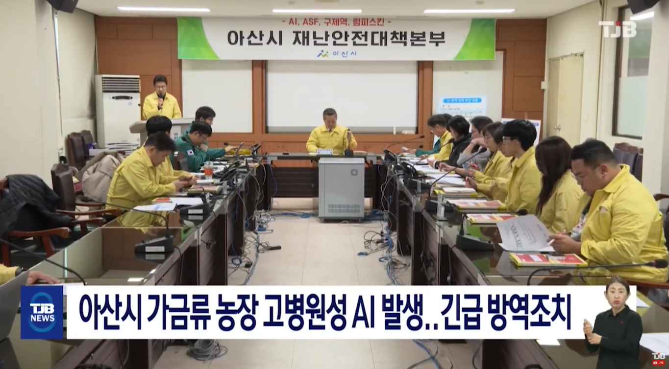 [TJB 8 뉴스] 아산시 가금류 농장 고병원성 AI 발생..긴급 방역조치