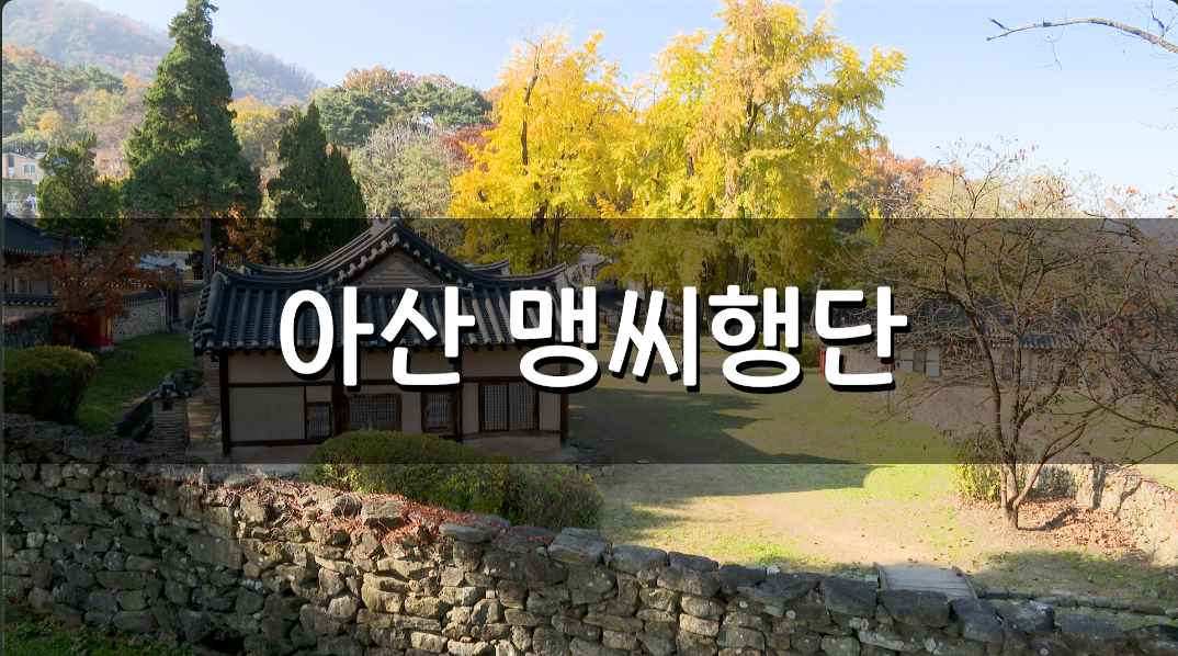 아산 맹씨행단