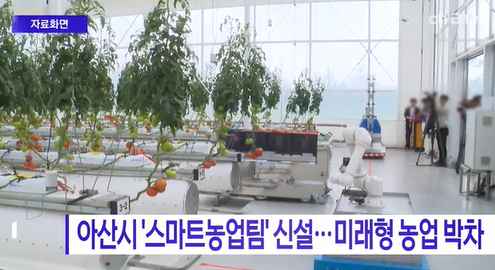 [Btv 중부뉴스] 아산시 '스마트농업팀' 신설…미래형 농업 박차