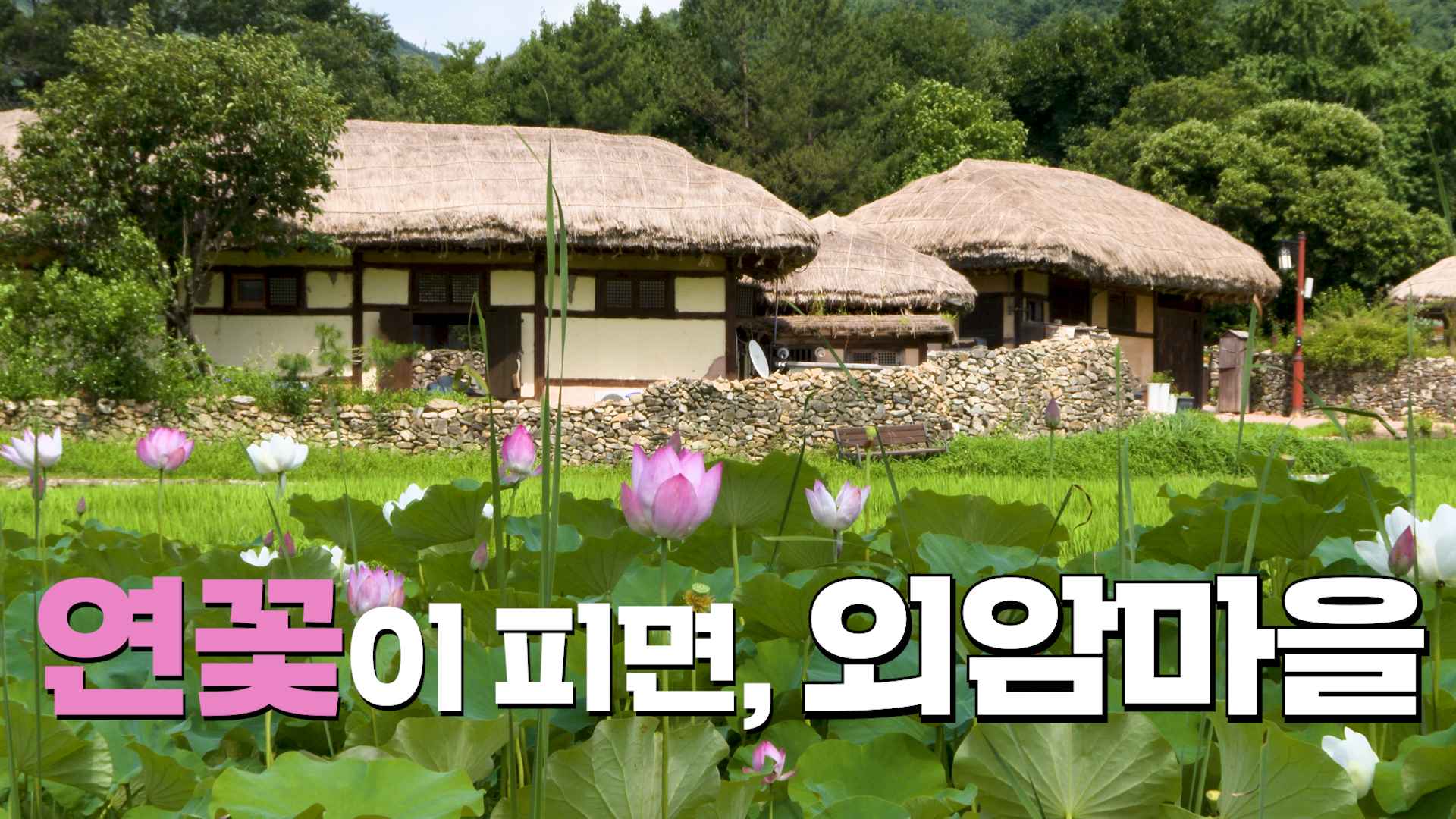 연꽃이 피면, 외암마을