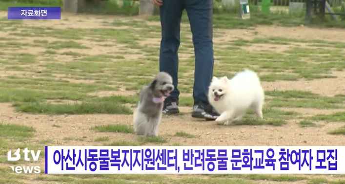 [Btv 뉴스] 아산시동물복지지원센터, 반려동물 문화교육 참여자 모집